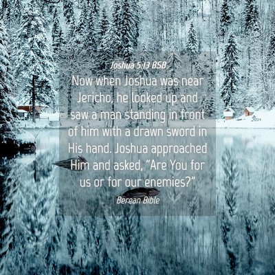 Picture 04 - Joshua 5:13 BSB - Now when Joshua was near Jericho, he looked up - Bible Verse Picture