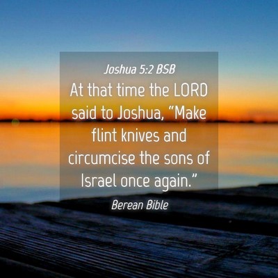 Picture 04 - Joshua 5:2 BSB - At that time the LORD said to Joshua, “Make - Bible Verse Picture