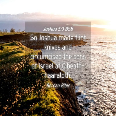 Picture 04 - Joshua 5:3 BSB - So Joshua made flint knives and circumcised the - Bible Verse Picture