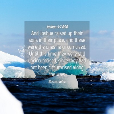Picture 04 - Joshua 5:7 BSB - And Joshua raised up their sons in their place, - Bible Verse Picture