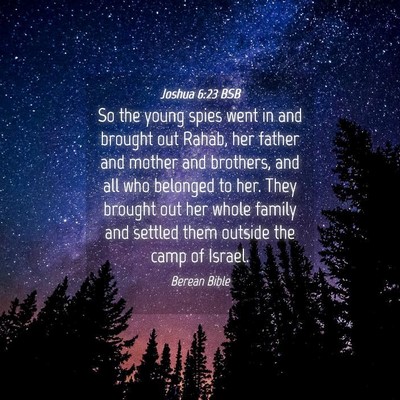 Picture 04 - Joshua 6:23 BSB - So the young spies went in and brought out Rahab, - Bible Verse Picture