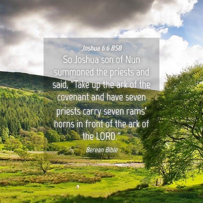 Picture 04 - Joshua 6:6 BSB - So Joshua son of Nun summoned the priests and - Bible Verse Picture