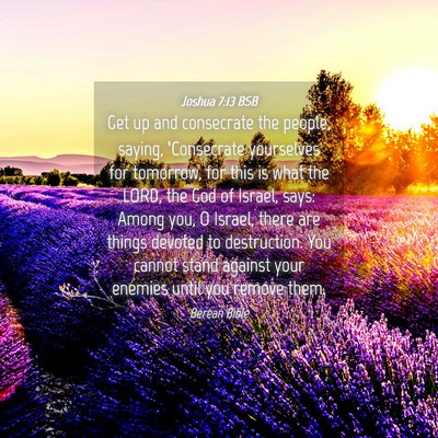 Picture 04 - Joshua 7:13 BSB - Get up and consecrate the people, saying, - Bible Verse Picture