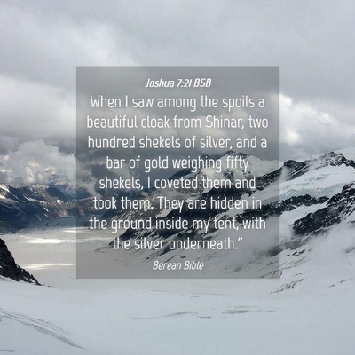 Picture 04 - Joshua 7:21 BSB - When I saw among the spoils a beautiful cloak - Bible Verse Picture