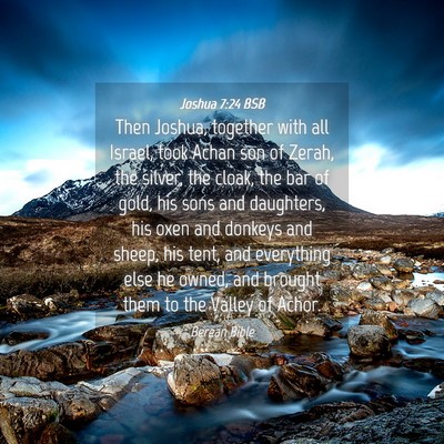 Picture 04 - Joshua 7:24 BSB - Then Joshua, together with all Israel, took Achan - Bible Verse Picture