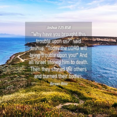 Picture 04 - Joshua 7:25 BSB - “Why have you brought this trouble upon us?” - Bible Verse Picture