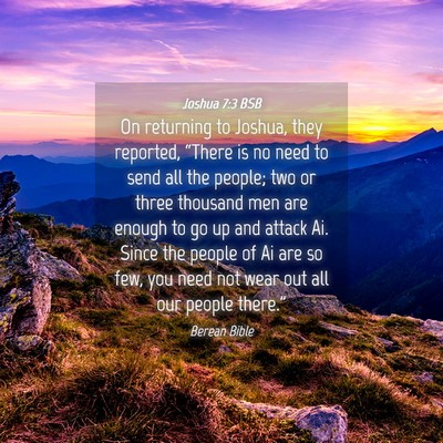 Picture 04 - Joshua 7:3 BSB - On returning to Joshua, they reported, “There - Bible Verse Picture