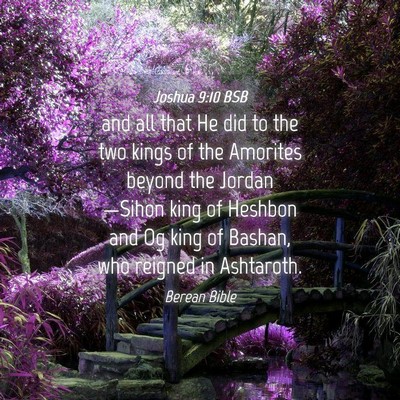 Picture 04 - Joshua 9:10 BSB - and all that He did to the two kings of the - Bible Verse Picture