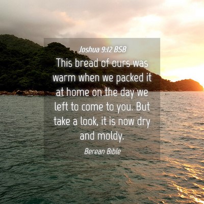 Picture 04 - Joshua 9:12 BSB - This bread of ours was warm when we packed it at - Bible Verse Picture