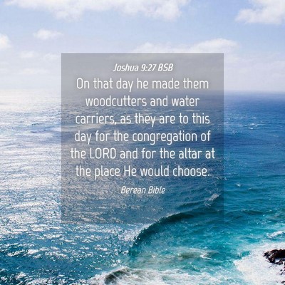 Picture 04 - Joshua 9:27 BSB - On that day he made them woodcutters and water - Bible Verse Picture