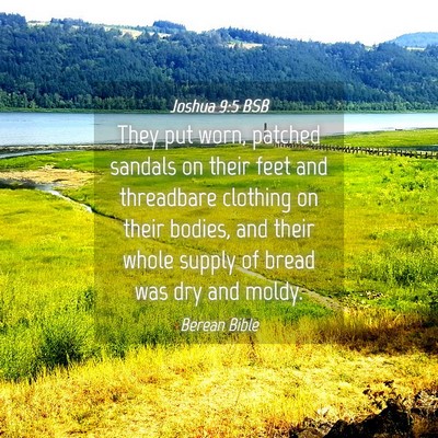 Picture 04 - Joshua 9:5 BSB - They put worn, patched sandals on their feet and - Bible Verse Picture