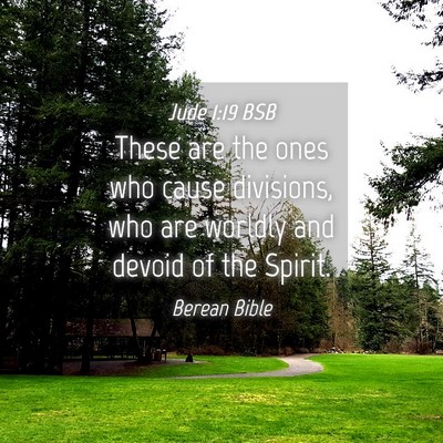 Picture 04 - Jude 1:19 BSB - These are the ones who cause divisions, who are - Bible Verse Picture