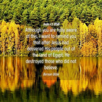 Picture 04 - Jude 1:5 BSB - Although you are fully aware of this, I want to - Bible Verse Picture