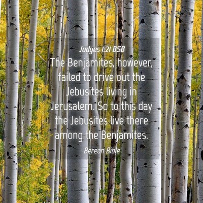 Picture 04 - Judges 1:21 BSB - The Benjamites, however, failed to drive out the - Bible Verse Picture