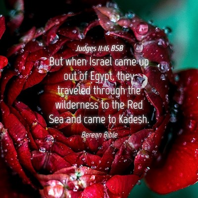 Picture 04 - Judges 11:16 BSB - But when Israel came up out of Egypt, they - Bible Verse Picture