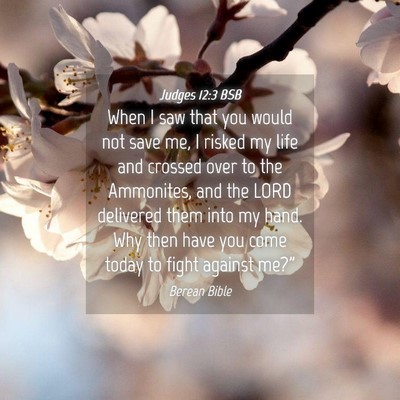 Picture 04 - Judges 12:3 BSB - When I saw that you would not save me, I risked - Bible Verse Picture