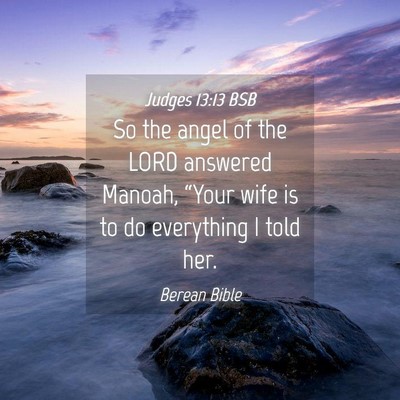 Picture 04 - Judges 13:13 BSB - So the angel of the LORD answered Manoah, “Your - Bible Verse Picture