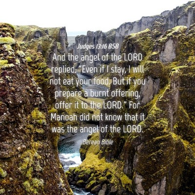 Picture 04 - Judges 13:16 BSB - And the angel of the LORD replied, “Even if I - Bible Verse Picture