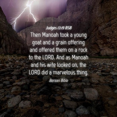 Picture 04 - Judges 13:19 BSB - Then Manoah took a young goat and a grain - Bible Verse Picture