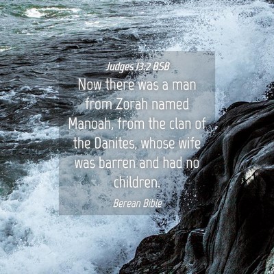 Picture 04 - Judges 13:2 BSB - Now there was a man from Zorah named Manoah, from - Bible Verse Picture