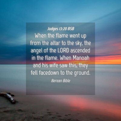 Picture 04 - Judges 13:20 BSB - When the flame went up from the altar to the sky, - Bible Verse Picture