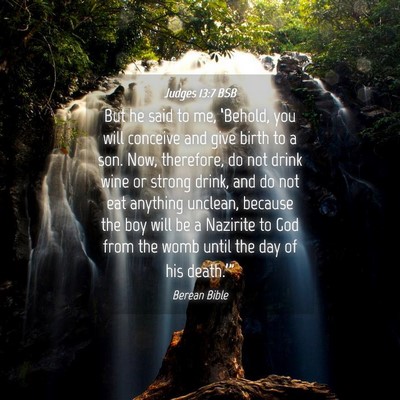 Picture 04 - Judges 13:7 BSB - But he said to me, ‘Behold, you will conceive - Bible Verse Picture