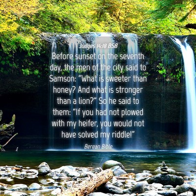 Picture 04 - Judges 14:18 BSB - Before sunset on the seventh day, the men of the - Bible Verse Picture