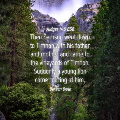 Picture 04 - Judges 14:5 BSB - Then Samson went down to Timnah with his father - Bible Verse Picture