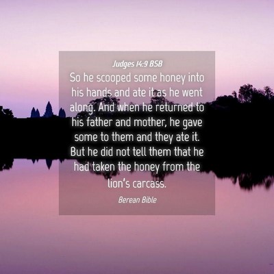 Picture 04 - Judges 14:9 BSB - So he scooped some honey into his hands and ate - Bible Verse Picture