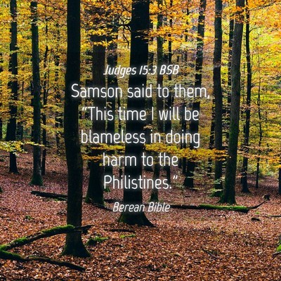 Picture 04 - Judges 15:3 BSB - Samson said to them, “This time I will be - Bible Verse Picture