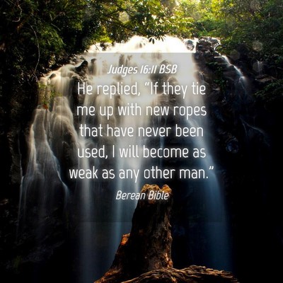 Picture 04 - Judges 16:11 BSB - He replied, “If they tie me up with new ropes - Bible Verse Picture