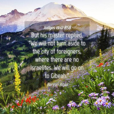 Picture 04 - Judges 19:12 BSB - But his master replied, “We will not turn aside - Bible Verse Picture