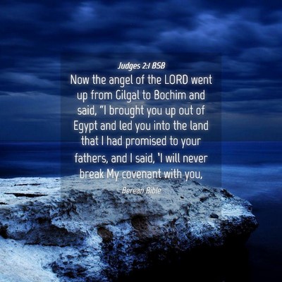 Picture 04 - Judges 2:1 BSB - Now the angel of the LORD went up from Gilgal to - Bible Verse Picture