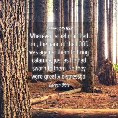 Picture 04 - Judges 2:15 BSB - Wherever Israel marched out, the hand of the LORD - Bible Verse Picture
