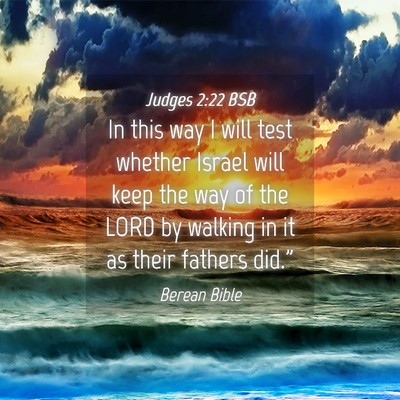 Picture 04 - Judges 2:22 BSB - In this way I will test whether Israel will keep - Bible Verse Picture