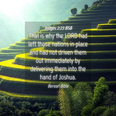 Picture 04 - Judges 2:23 BSB - That is why the LORD had left those nations in - Bible Verse Picture