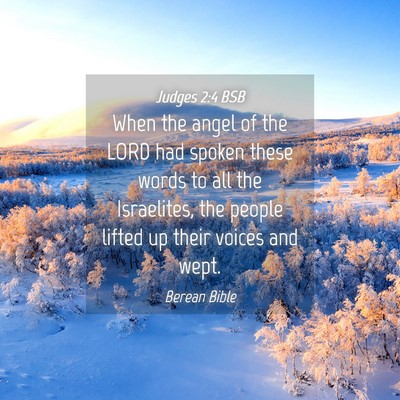 Picture 04 - Judges 2:4 BSB - When the angel of the LORD had spoken these words - Bible Verse Picture