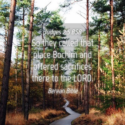Picture 04 - Judges 2:5 BSB - So they called that place Bochim and offered - Bible Verse Picture