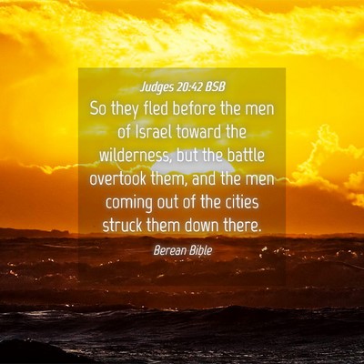 Picture 04 - Judges 20:42 BSB - So they fled before the men of Israel toward the - Bible Verse Picture