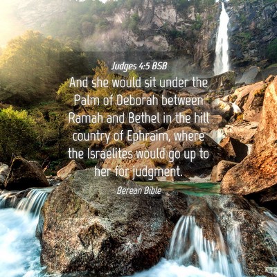 Picture 04 - Judges 4:5 BSB - And she would sit under the Palm of Deborah - Bible Verse Picture