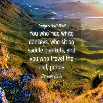 Picture 04 - Judges 5:10 BSB - You who ride white donkeys, who sit on saddle - Bible Verse Picture