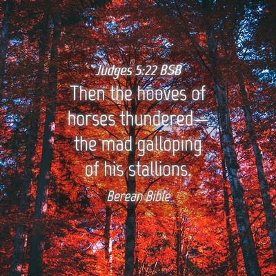 Picture 04 - Judges 5:22 BSB - Then the hooves of horses thundered—the mad - Bible Verse Picture