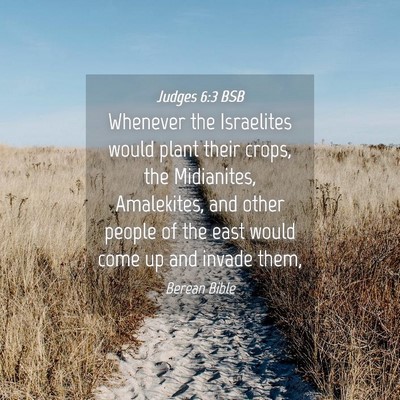 Picture 04 - Judges 6:3 BSB - Whenever the Israelites would plant their crops, - Bible Verse Picture