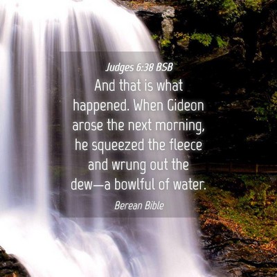 Picture 04 - Judges 6:38 BSB - And that is what happened. When Gideon arose the - Bible Verse Picture