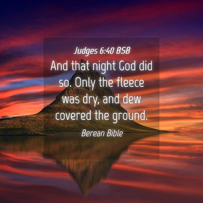 Picture 04 - Judges 6:40 BSB - And that night God did so. Only the fleece was - Bible Verse Picture