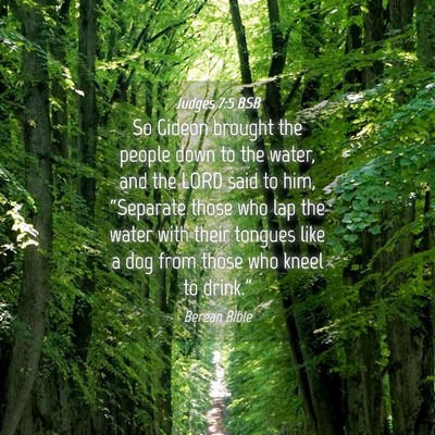 Picture 04 - Judges 7:5 BSB - So Gideon brought the people down to the water, - Bible Verse Picture