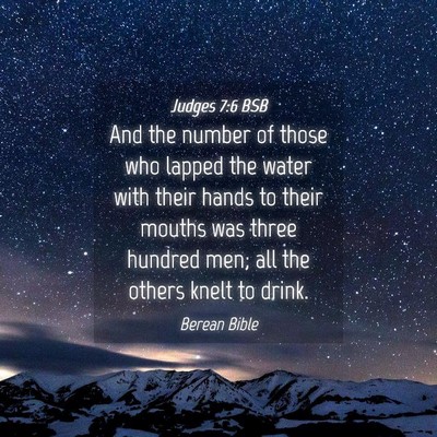 Picture 04 - Judges 7:6 BSB - And the number of those who lapped the water with - Bible Verse Picture