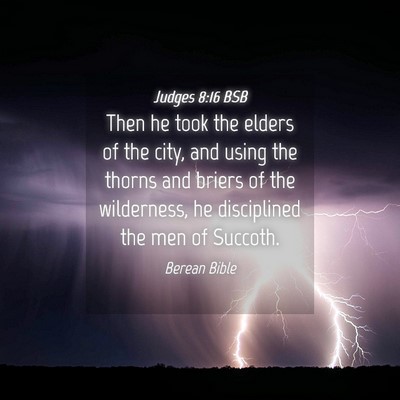 Picture 04 - Judges 8:16 BSB - Then he took the elders of the city, and using - Bible Verse Picture