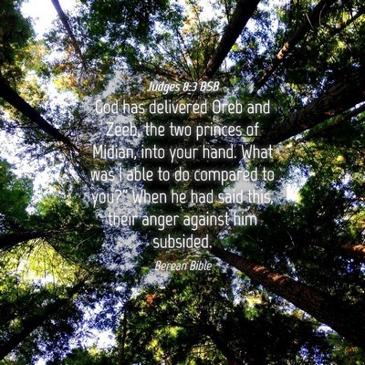 Picture 04 - Judges 8:3 BSB - God has delivered Oreb and Zeeb, the two princes - Bible Verse Picture