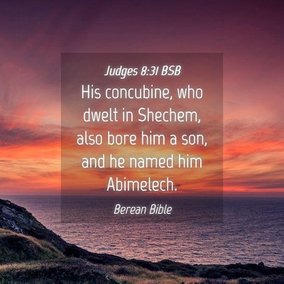 Picture 04 - Judges 8:31 BSB - His concubine, who dwelt in Shechem, also bore - Bible Verse Picture